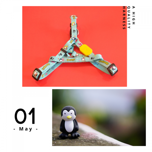 Penguins (1)