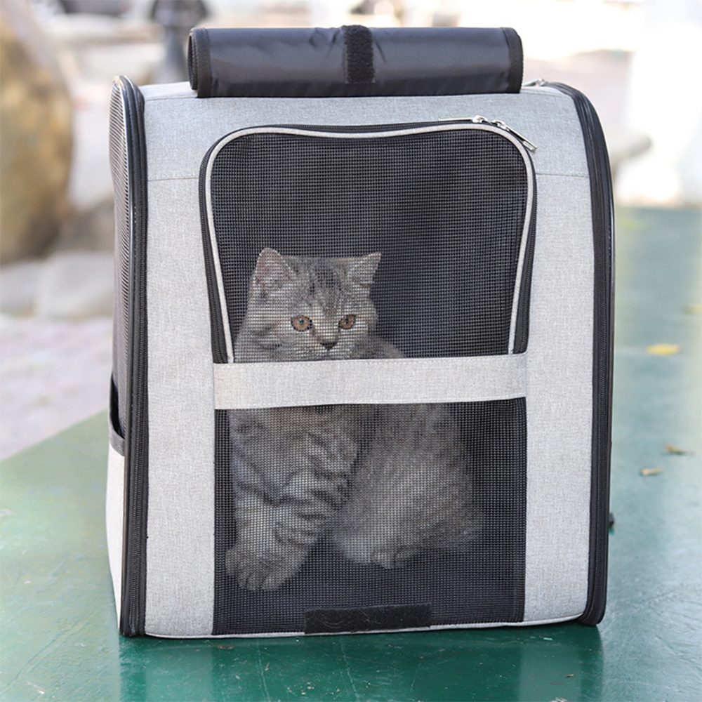 Small Pet Carrier Cat/Dog Backpack with Windows - Image 2