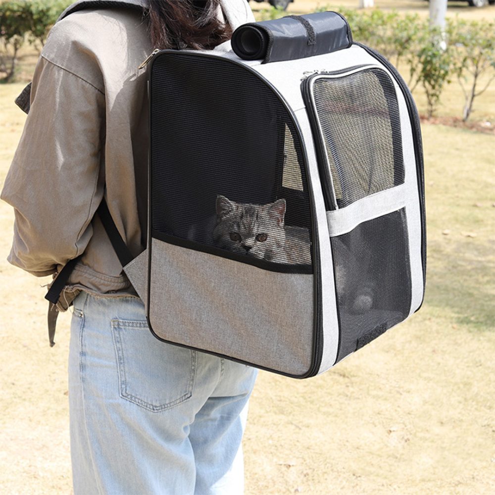 Small Pet Carrier Cat/Dog Backpack with Windows - Image 3