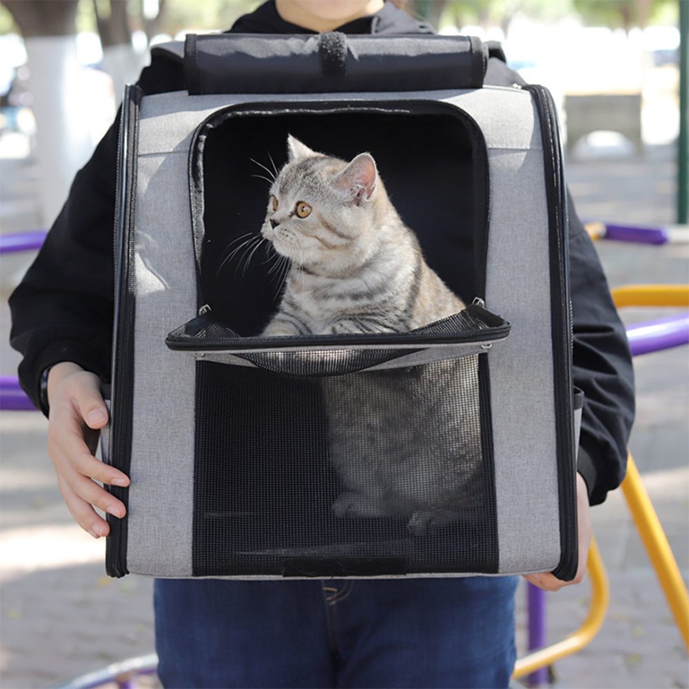 Small Pet Carrier Cat/Dog Backpack with Windows