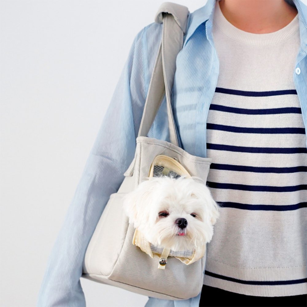 Trendy And Stereoscopic Pet Carrier Dog/Cat Handbag