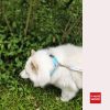 Mega Sale 2 Colors Designer Dog Collar With Stylish Patterns - Image 2